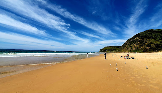 Sutherland Shire: A Unique Blend of Local Culture and Sporting Spirit